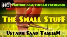 The Small Stuff ᴴᴰ ┇ Amazing Reminder ┇ by Ustadh Saad Tasleem ┇ TDR Production ┇