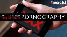 Effects of Pornography - Mufti Menk