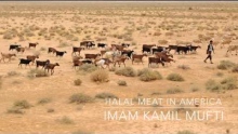 Halal Meat in America - Imam Mufti