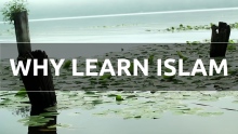 Why Learn Islam