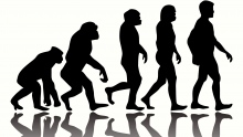 Question 1: Evolution, Adam, Giants on Earth