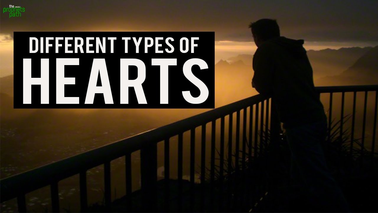 The Different Types Of Hearts