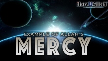 Example Of Allah's Mercy | Powerful Hadith