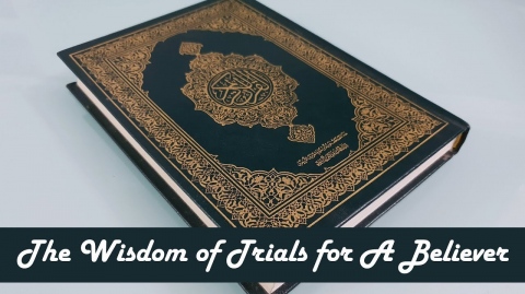 Why We are Tested - The Wisdom of Trials for The Believer | Shaykh Dr Yasir Qadhi
