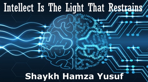 Intellect (aql) is a Light That Restrains - Shaykh Hamza Yusuf
