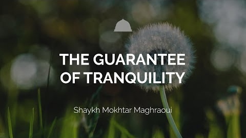 The Guarantee of Tranquility - Shaykh Mokhtar Maghraoui
