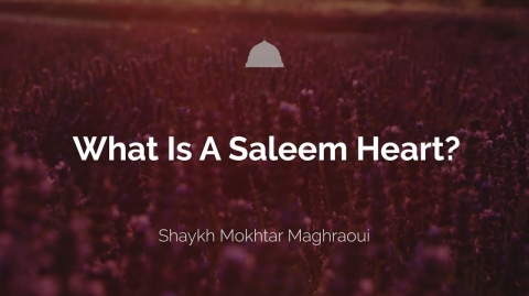 What Is A Saleem Heart? - Shaykh Mokhtar Maghraoui