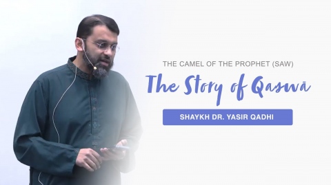 The Story of Qaṣwā - The Camel of Prophet Muhammad (SAW) - Shaykh Dr. Yasir Qadhi